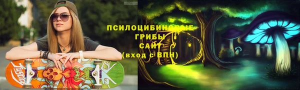 крисы Бородино
