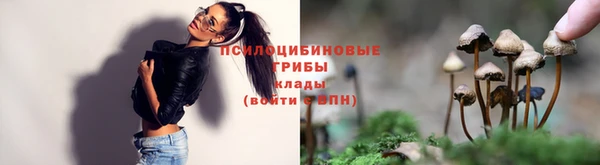 дурь Белоозёрский