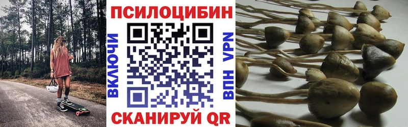 Галлюциногенные грибы прущие грибы  Кушва 
